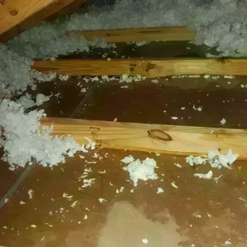 Attic Water Damage in Daniels, WV